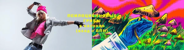 крисы Осинники