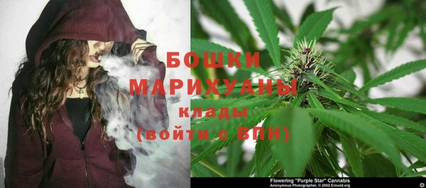 круглые Аркадак