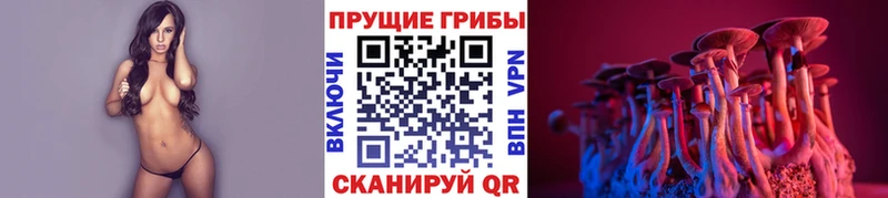 kraken ТОР  Солигалич  Псилоцибиновые грибы мицелий  купить наркотик 